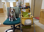 2014.3.15-18静岡の旅 001.jpg