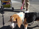 2014.3.15-18静岡の旅 005.jpg
