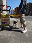 2014.3.15-18静岡の旅 007.jpg