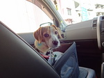 2014.3.15-18静岡の旅 017.jpg