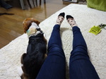 2014.3.15-18静岡の旅 024.jpg