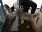 2014.3.15-18静岡の旅 028.jpg