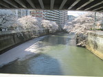 2014.4.4お花見3・4合同 076.jpg